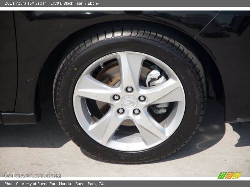 Crystal Black Pearl / Ebony 2011 Acura TSX Sedan