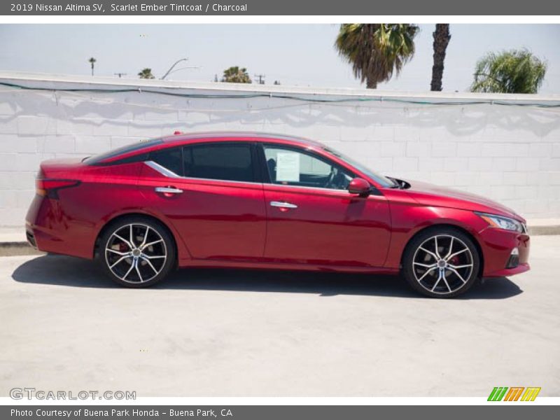 Scarlet Ember Tintcoat / Charcoal 2019 Nissan Altima SV