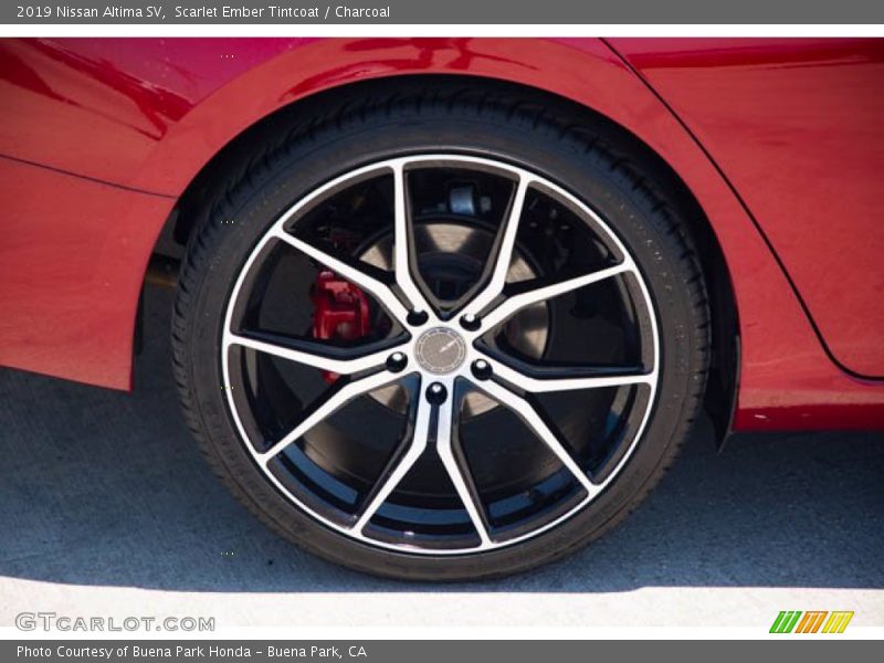 Scarlet Ember Tintcoat / Charcoal 2019 Nissan Altima SV