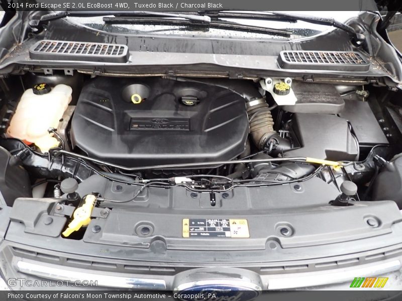 Tuxedo Black / Charcoal Black 2014 Ford Escape SE 2.0L EcoBoost 4WD