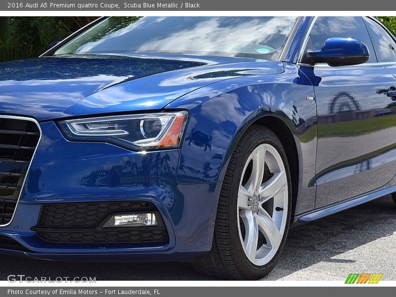 Scuba Blue Metallic / Black 2016 Audi A5 Premium quattro Coupe