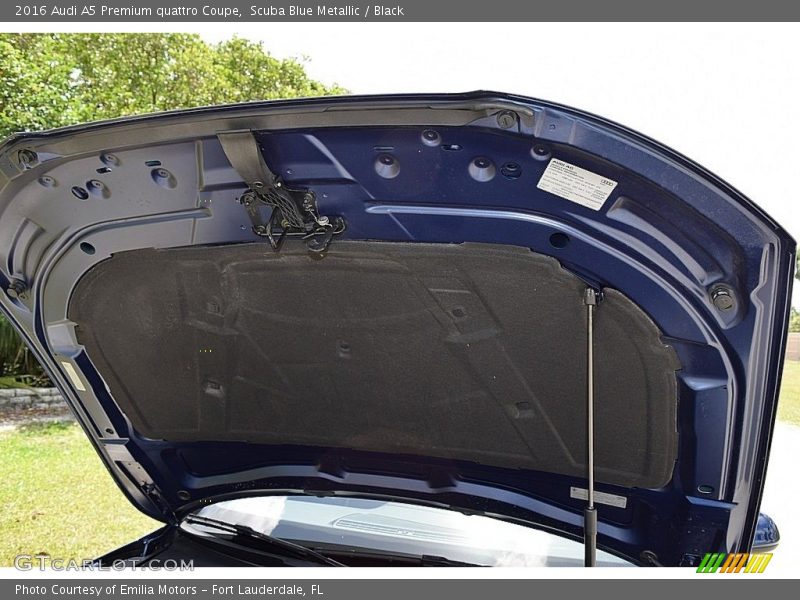 Scuba Blue Metallic / Black 2016 Audi A5 Premium quattro Coupe