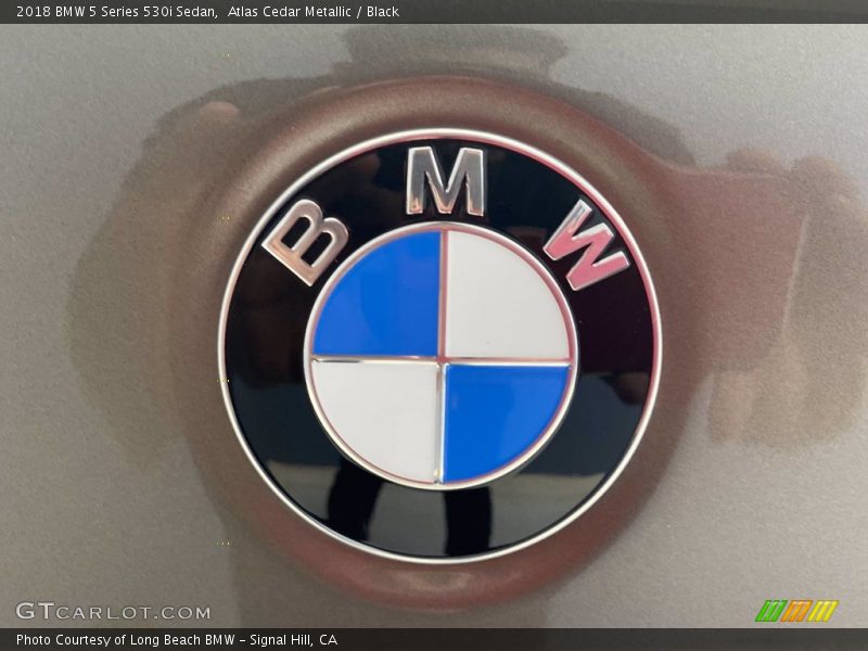 Atlas Cedar Metallic / Black 2018 BMW 5 Series 530i Sedan