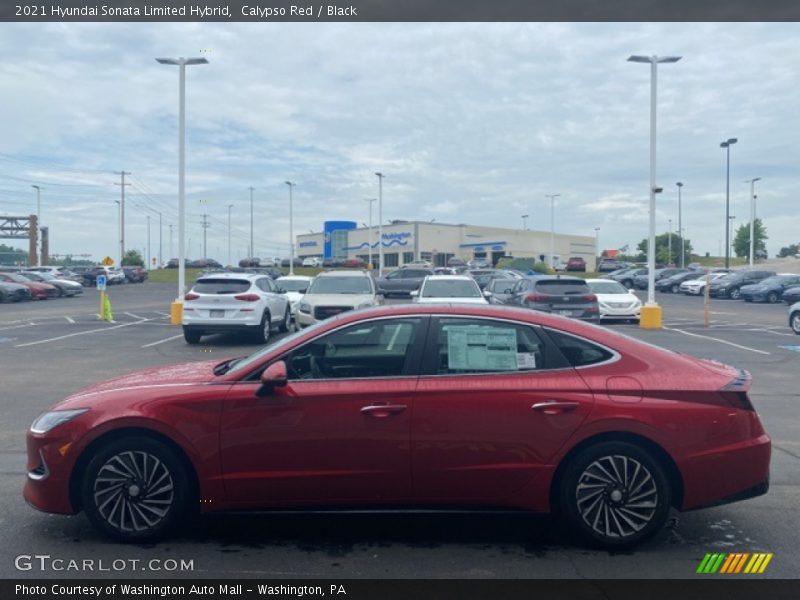 Calypso Red / Black 2021 Hyundai Sonata Limited Hybrid