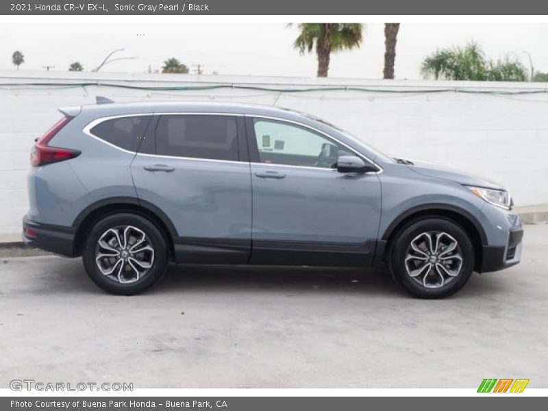 Sonic Gray Pearl / Black 2021 Honda CR-V EX-L