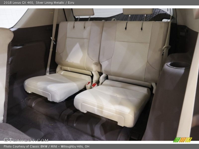 Silver Lining Metallic / Ecru 2018 Lexus GX 460