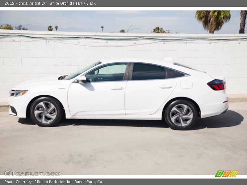 White Orchid Pearl / Black 2019 Honda Insight LX