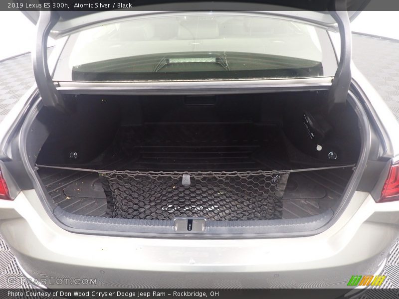 Atomic Silver / Black 2019 Lexus ES 300h