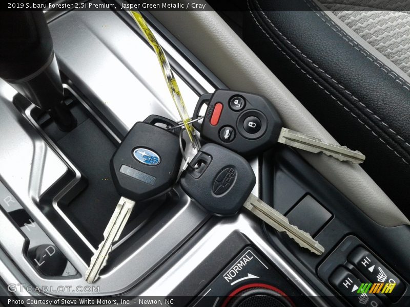 Jasper Green Metallic / Gray 2019 Subaru Forester 2.5i Premium
