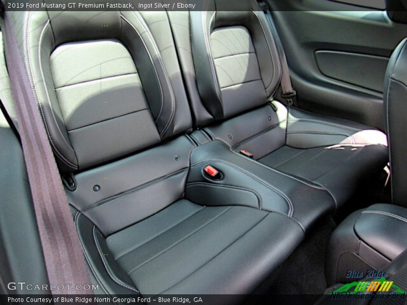 Ingot Silver / Ebony 2019 Ford Mustang GT Premium Fastback