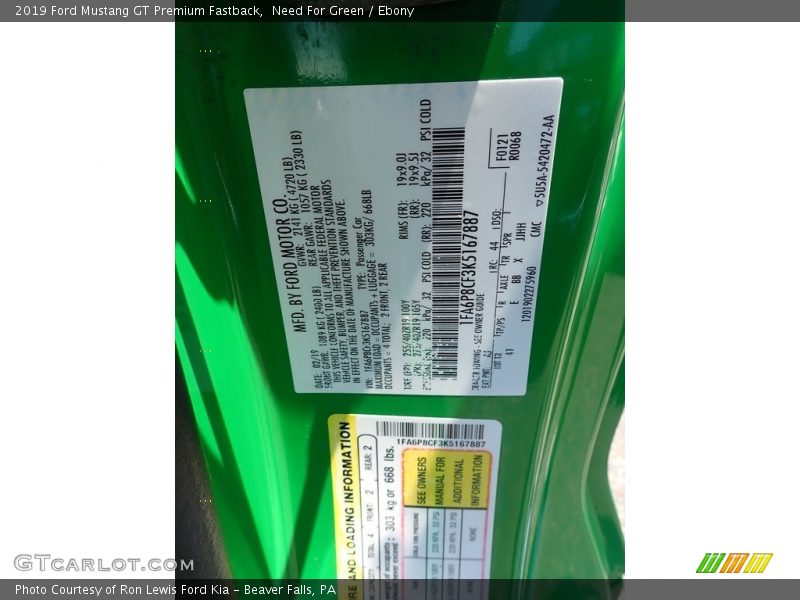 Need For Green / Ebony 2019 Ford Mustang GT Premium Fastback