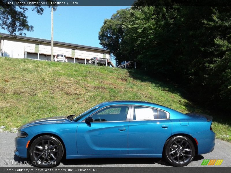 Frostbite / Black 2021 Dodge Charger SXT