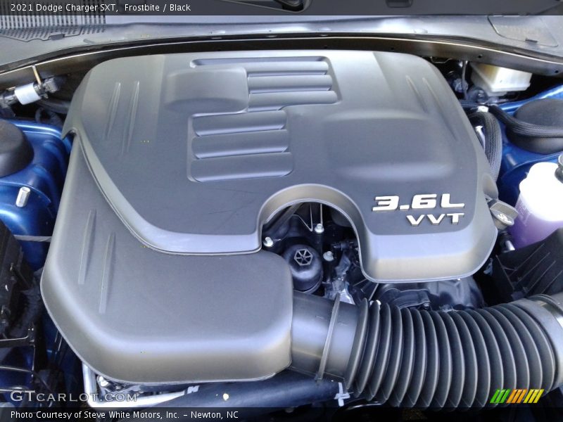 Frostbite / Black 2021 Dodge Charger SXT