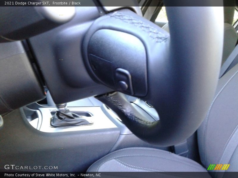 Frostbite / Black 2021 Dodge Charger SXT