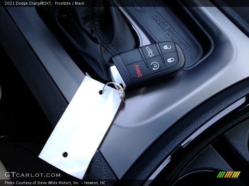 Frostbite / Black 2021 Dodge Charger SXT