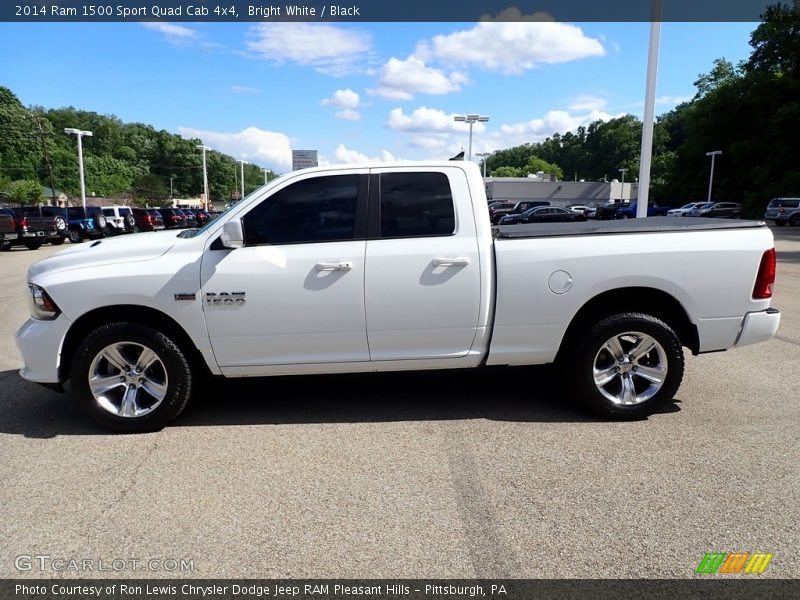 Bright White / Black 2014 Ram 1500 Sport Quad Cab 4x4