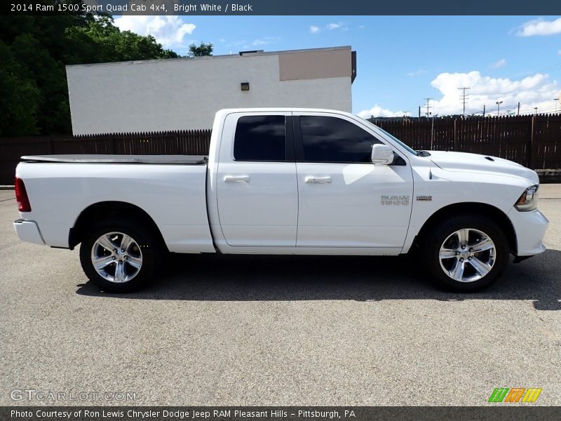 Bright White / Black 2014 Ram 1500 Sport Quad Cab 4x4