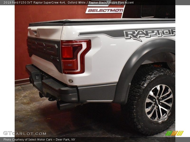 Oxford White / Raptor Black/Unique Blue Accent 2019 Ford F150 SVT Raptor SuperCrew 4x4