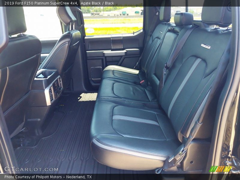 Agate Black / Black 2019 Ford F150 Platinum SuperCrew 4x4