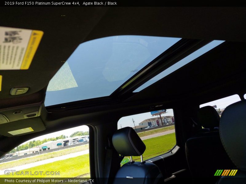 Agate Black / Black 2019 Ford F150 Platinum SuperCrew 4x4