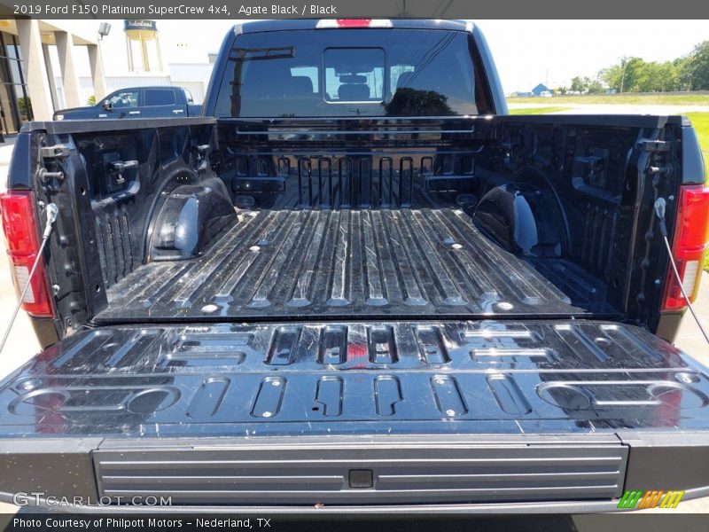 Agate Black / Black 2019 Ford F150 Platinum SuperCrew 4x4