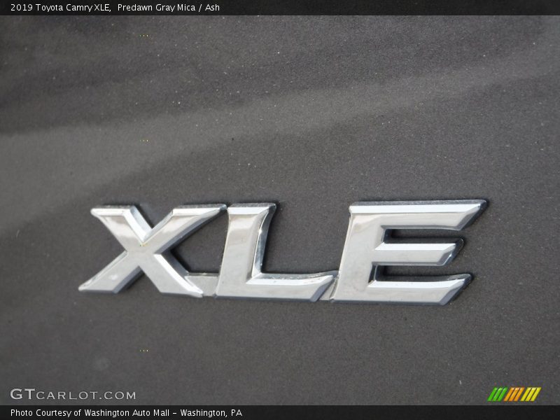 Predawn Gray Mica / Ash 2019 Toyota Camry XLE