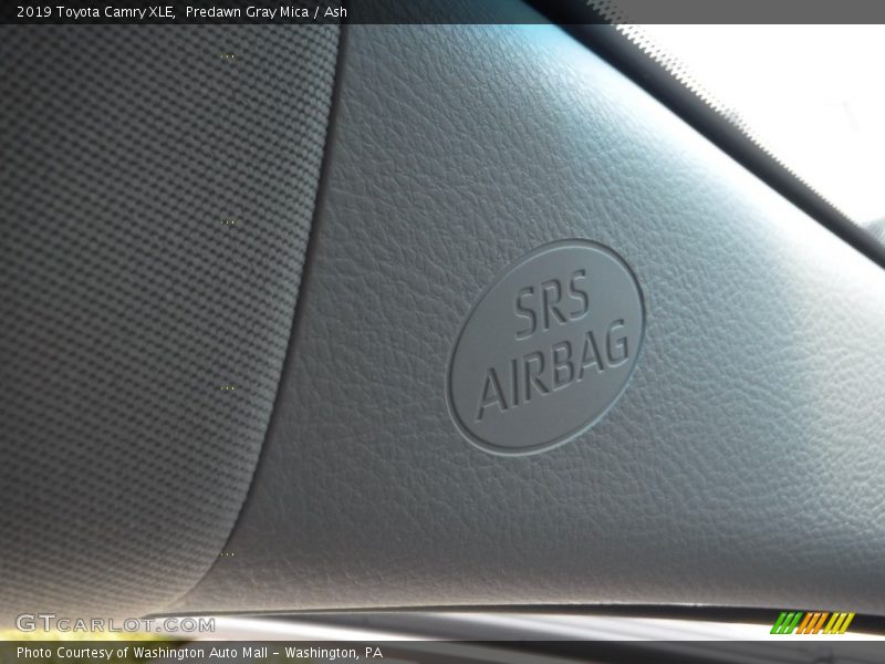 Predawn Gray Mica / Ash 2019 Toyota Camry XLE