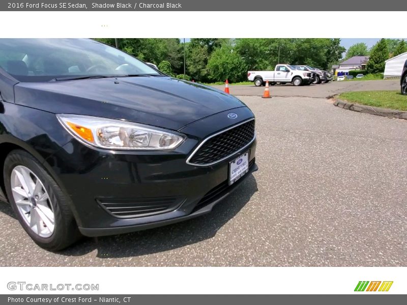 Shadow Black / Charcoal Black 2016 Ford Focus SE Sedan