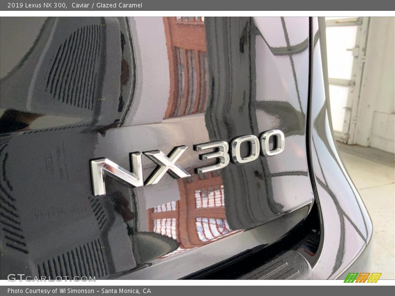  2019 NX 300 Logo