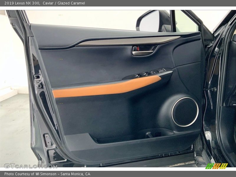 Door Panel of 2019 NX 300