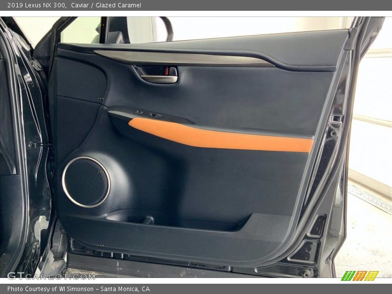 Door Panel of 2019 NX 300