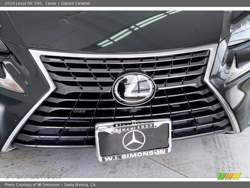 Caviar / Glazed Caramel 2019 Lexus NX 300