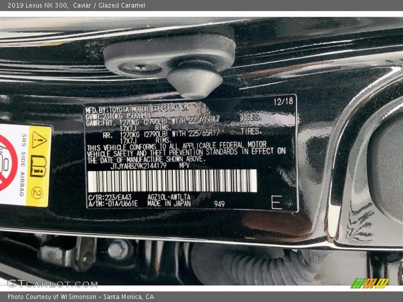 2019 NX 300 Caviar Color Code 223