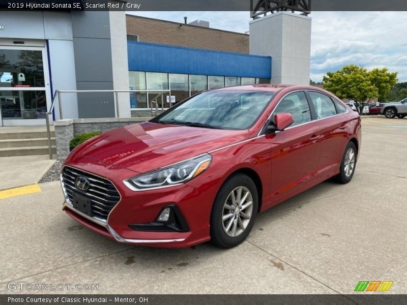 Scarlet Red / Gray 2019 Hyundai Sonata SE