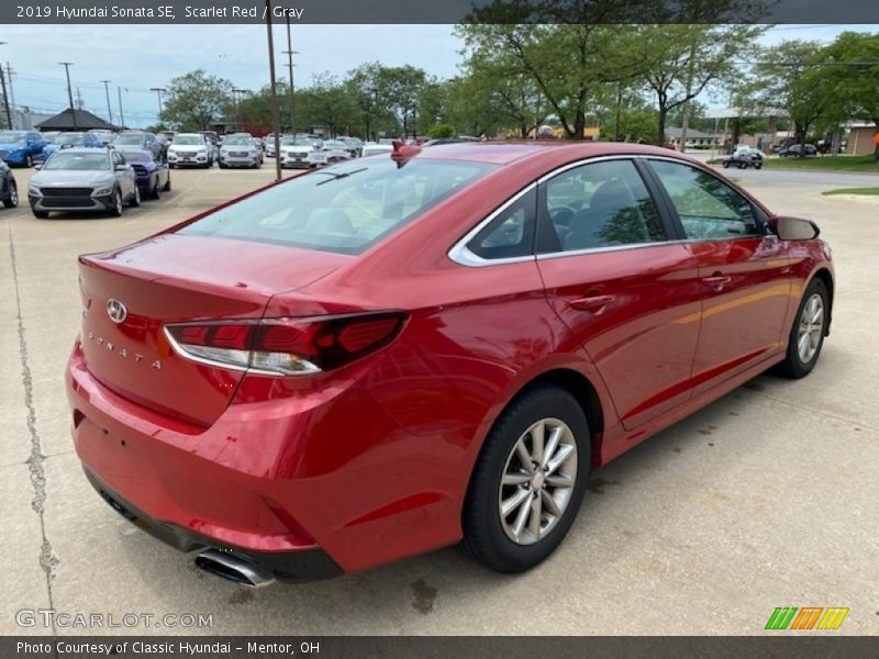 Scarlet Red / Gray 2019 Hyundai Sonata SE