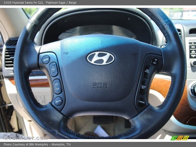 Platinum Sage / Beige 2009 Hyundai Santa Fe GLS