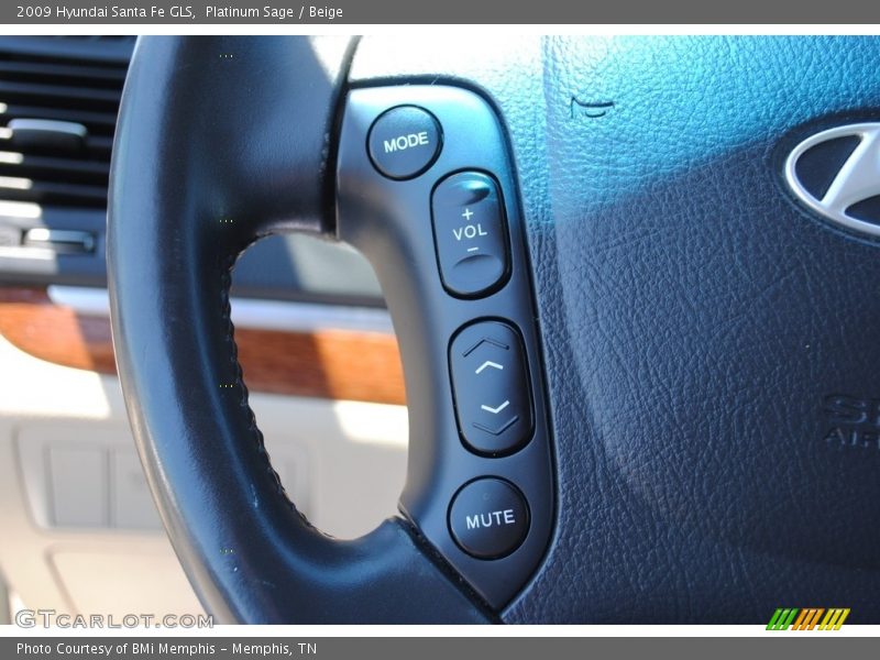 Platinum Sage / Beige 2009 Hyundai Santa Fe GLS