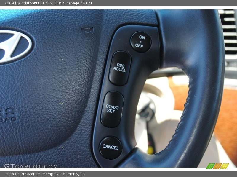 Platinum Sage / Beige 2009 Hyundai Santa Fe GLS