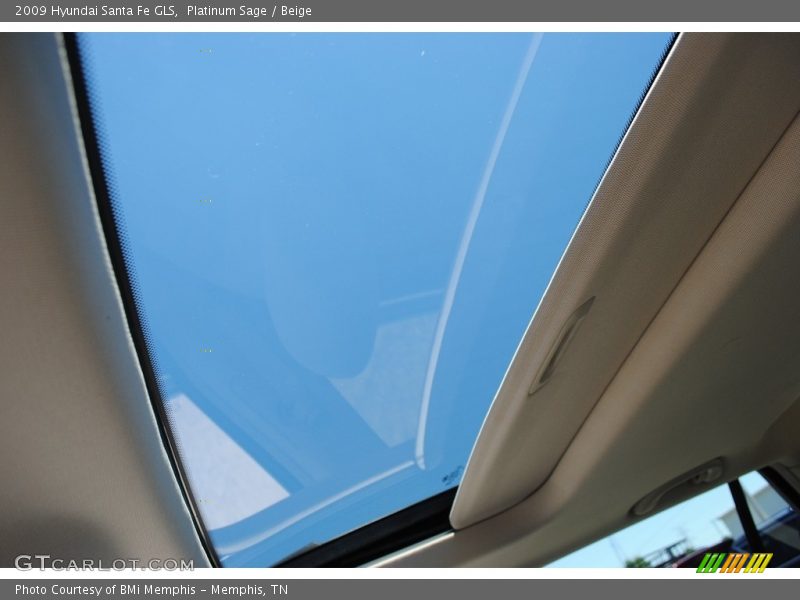 Platinum Sage / Beige 2009 Hyundai Santa Fe GLS