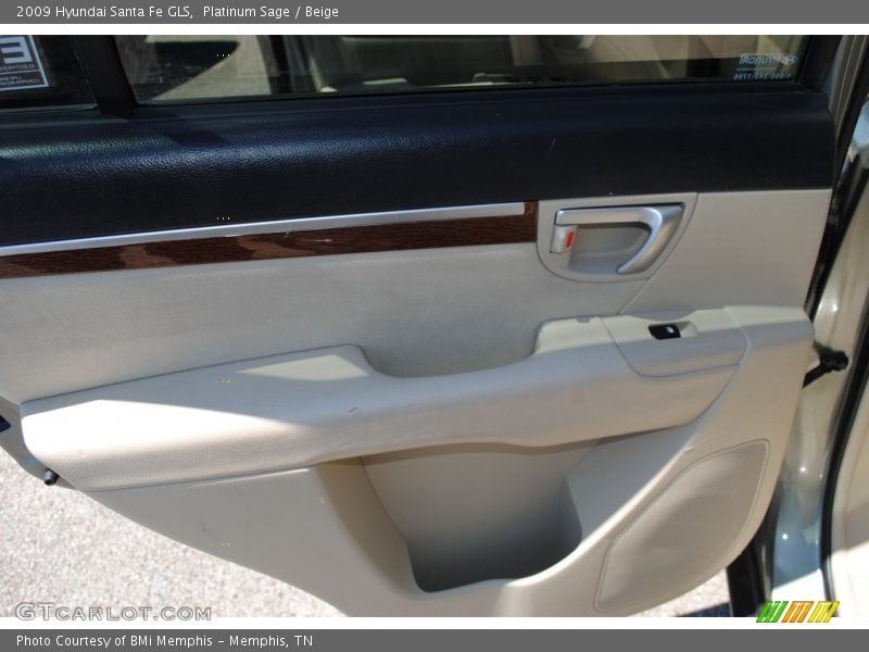 Platinum Sage / Beige 2009 Hyundai Santa Fe GLS
