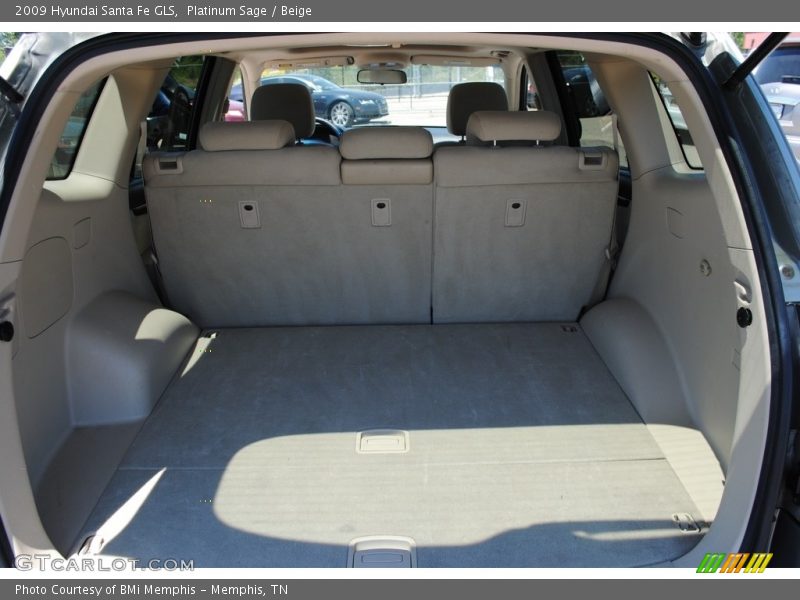 Platinum Sage / Beige 2009 Hyundai Santa Fe GLS