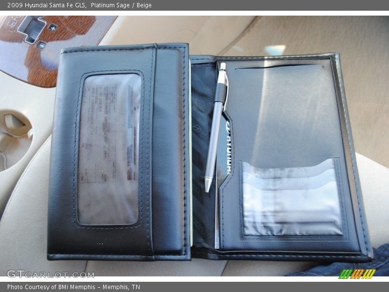 Platinum Sage / Beige 2009 Hyundai Santa Fe GLS