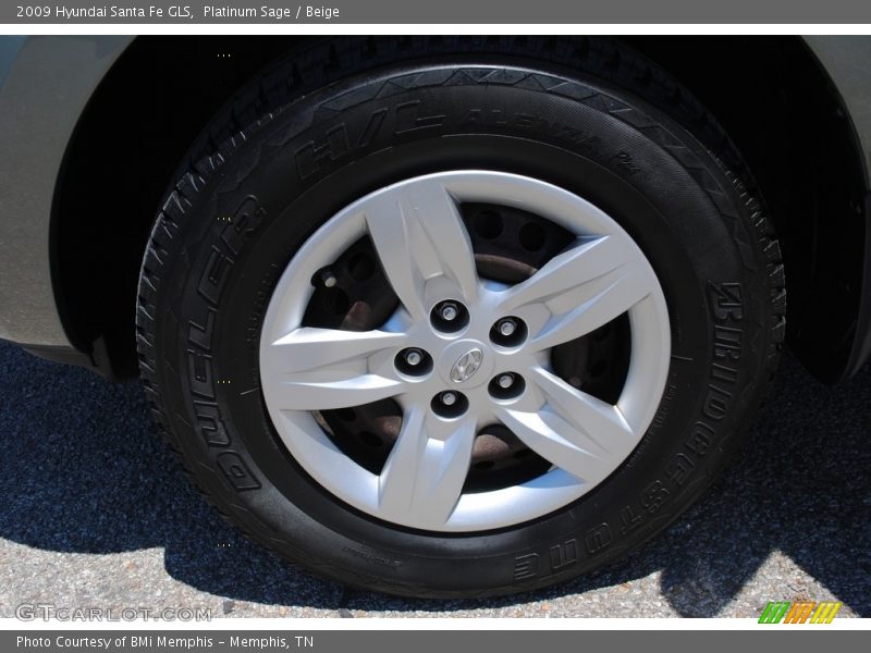 Platinum Sage / Beige 2009 Hyundai Santa Fe GLS