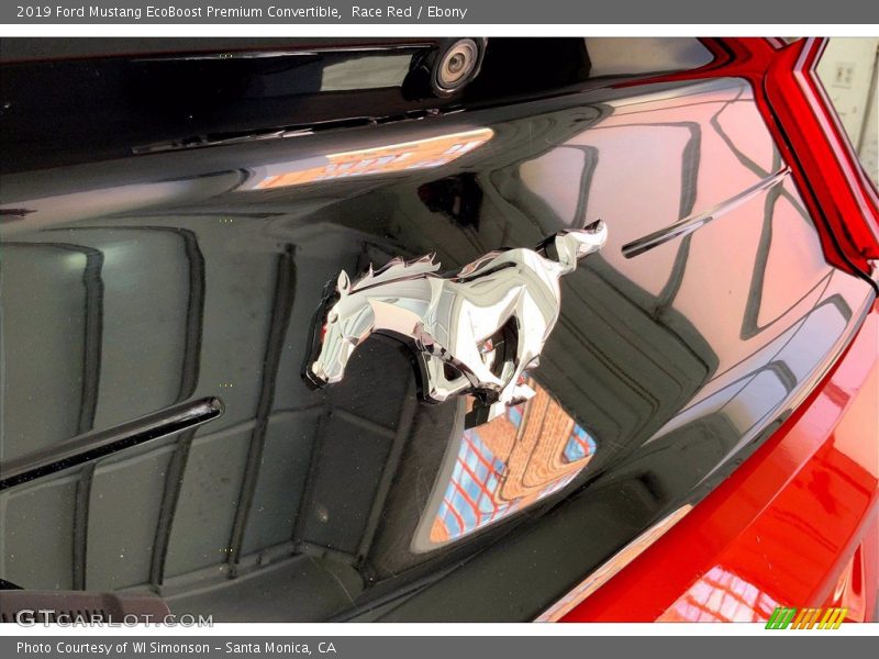 Race Red / Ebony 2019 Ford Mustang EcoBoost Premium Convertible