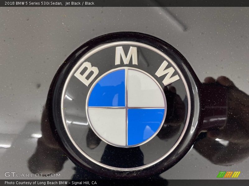 Jet Black / Black 2018 BMW 5 Series 530i Sedan