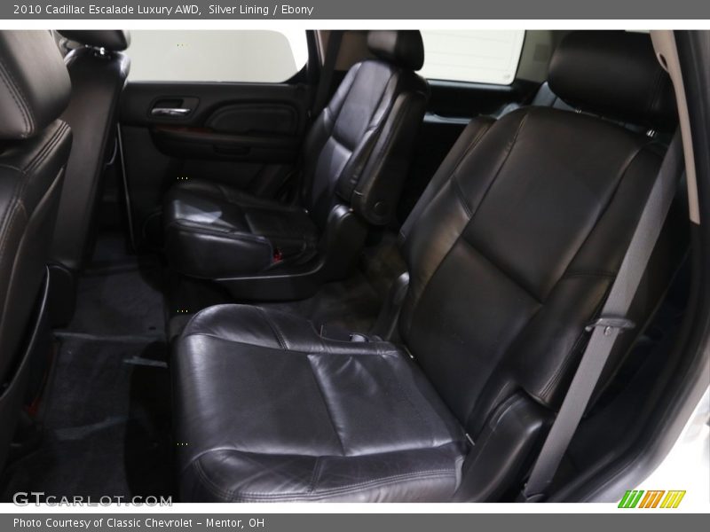 Silver Lining / Ebony 2010 Cadillac Escalade Luxury AWD