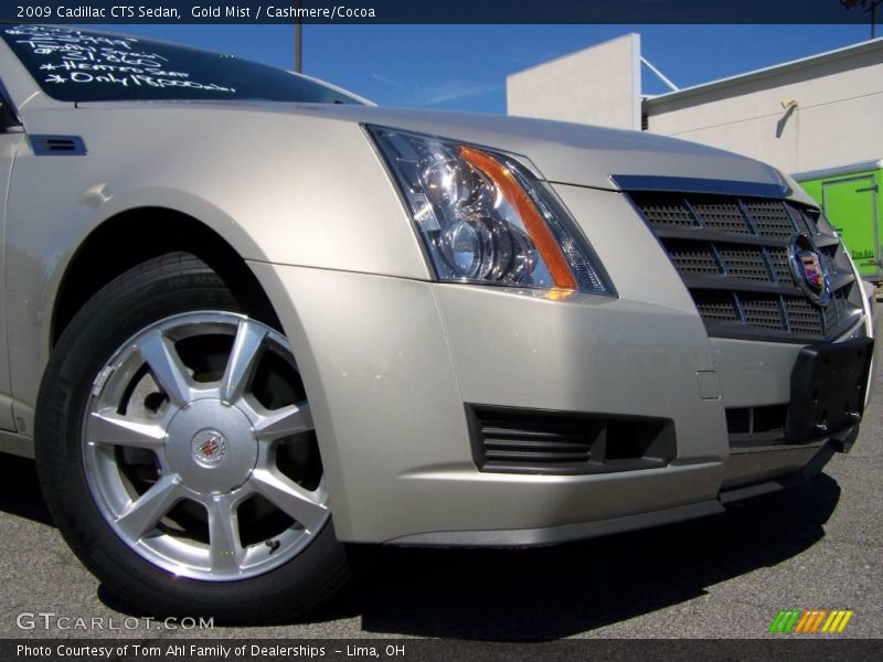 Gold Mist / Cashmere/Cocoa 2009 Cadillac CTS Sedan
