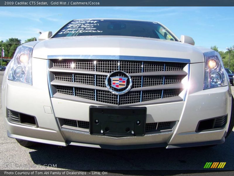 Gold Mist / Cashmere/Cocoa 2009 Cadillac CTS Sedan