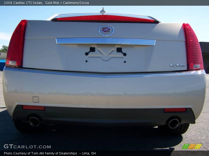 Gold Mist / Cashmere/Cocoa 2009 Cadillac CTS Sedan