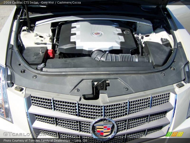Gold Mist / Cashmere/Cocoa 2009 Cadillac CTS Sedan